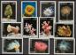 Preview: MONAKO_Lot_aus_1980__postfrisch_Bild2