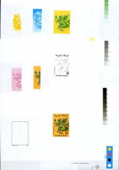 MAROKKO_1988_Nr_1141_PH_postfrisch_Bild1