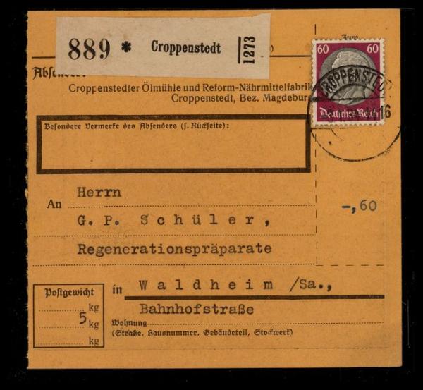 DEUTSCHES_REICH_1933_Nr_493_gestempelt_Bild1