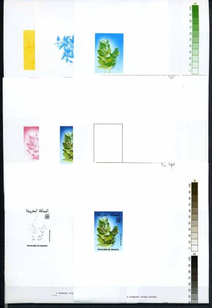 MAROKKO_1988_Nr_1141_PH_postfrisch_Bild1